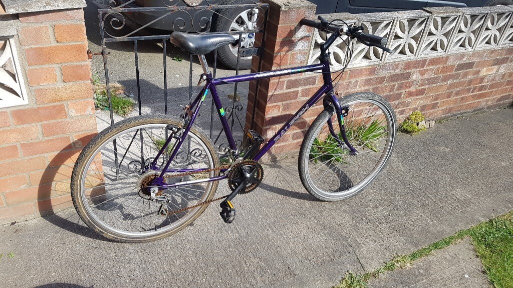 raleigh ascender mountain bike